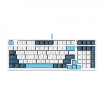 Клавиатура механическая A4tech Fstyler FS300 Panda Snowboarding <USB>