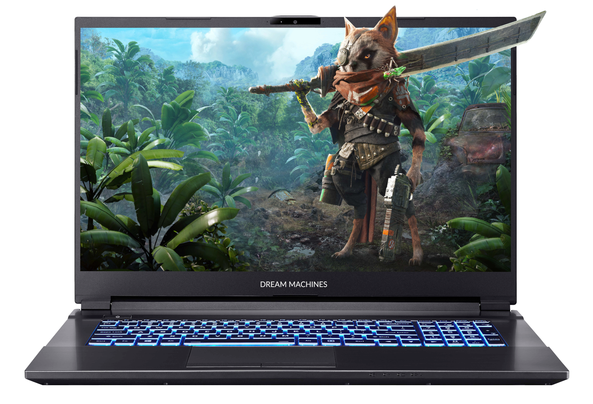 Игровой ноутбук Dream Machines RG2060-17XX04 <17.3'' FHD WVA 120Hz, i7-10750H, RTX2060 6GB>