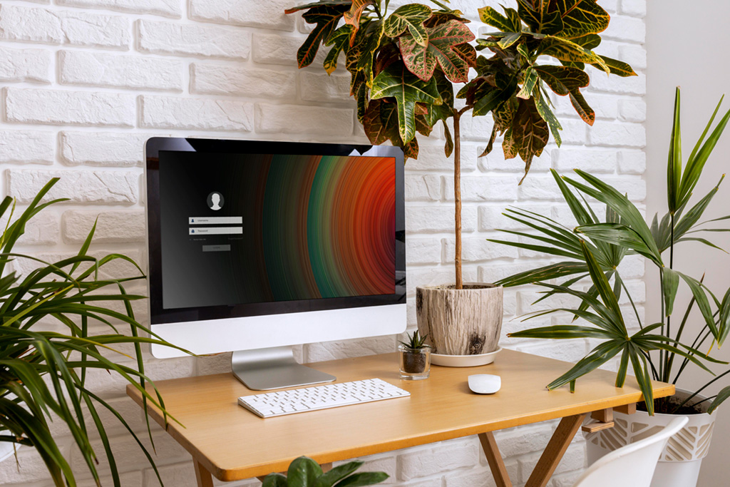 desk-arrangement-with-monitor-keyboard.jpg