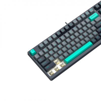 Клавиатура механическая A4tech Fstyler FS300 Panda Rock Climbing <USB>