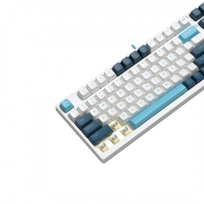 Клавиатура механическая A4tech Fstyler FS300 Panda Snowboarding <USB>