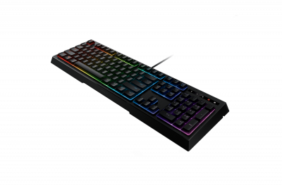 Клавиатура игровая Razer Ornata Chroma RZ03-02040700-R3R1<Механическо-мембранная, USB, 224*463*31mm>