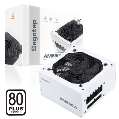 Блок питания ПК  650W SEGOTEP AM650W White <80+ WHITE>
