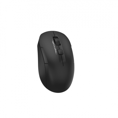 Мышь беспроводная A4tech Fstyler FG16CSAir2 BLACK <2.4GHz, Li-Battery> Мышь беспроводная A4tech Fstyler FG16CSAir2 BLACK <2.4GHz, Li-Battery>