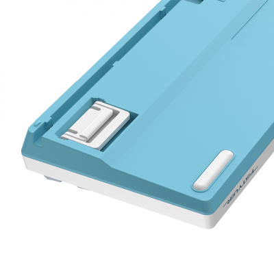 Клавиатура механическая A4tech Fstyler FS300 Panda Snowboarding <USB>