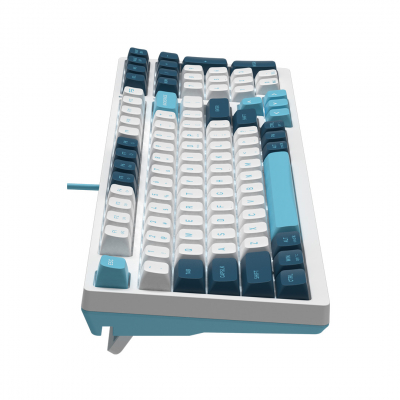 Клавиатура механическая A4tech Fstyler FS300 Panda Snowboarding <USB>