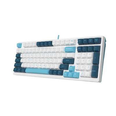 Клавиатура механическая A4tech Fstyler FS300 Panda Snowboarding <USB>