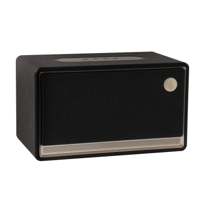 Портативная колонка Edifier ES300 Black <60Вт, BT5.4, Wi-Fi (Apple AirPlay), USB-A, AUX>