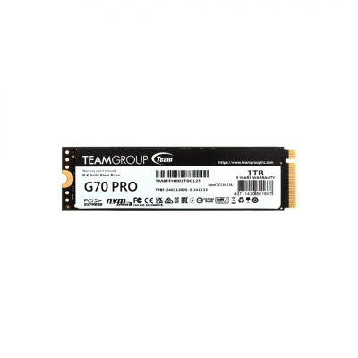 Твердотельный накопитель 1000GB SSD TeamGroup G70 PRO M.2 PCIe R7400/W5500 TM8FFH001T0C129