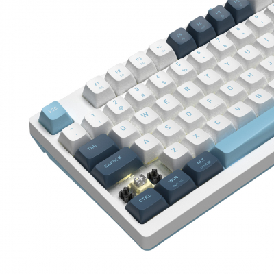 Клавиатура механическая A4tech Fstyler FS300 Panda Snowboarding <USB>