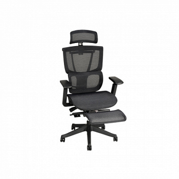 Эргономичное кресло FLEXISPOT C7B-Mesh-FT Black <Сетка, подлокотник 4D,газлифт 4, держатель для ног>