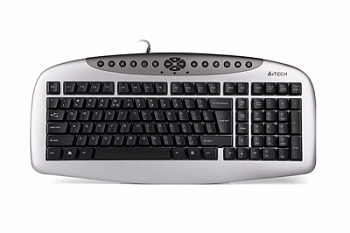 Клавиатура A4tech KBS-21 PS2 Silver Black