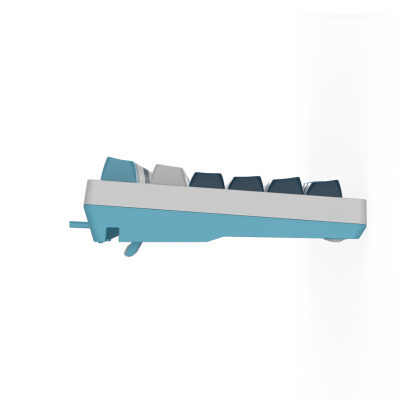 Клавиатура механическая A4tech Fstyler FS300 Panda Snowboarding <USB>