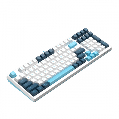 Клавиатура механическая A4tech Fstyler FS300 Panda Snowboarding <USB>