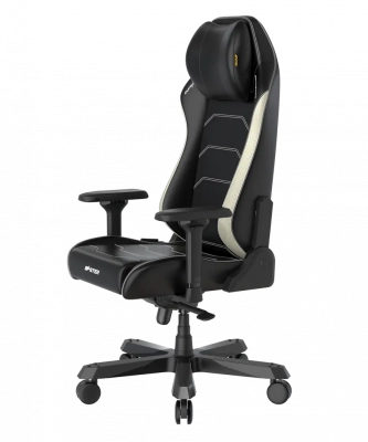 Игровое кресло DXRacer MAS-I239S(I238S)-NW-A3 black and white Игровое кресло DXRacer MAS-I239S(I238S)-NW-A3 black and white