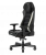 Игровое кресло DXRacer MAS-I239S(I238S)-NW-A3 black and white Игровое кресло DXRacer MAS-I239S(I238S)-NW-A3 black and white