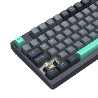 Клавиатура механическая A4tech Fstyler FS300 Panda Rock Climbing <USB>