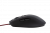 Мышь Dream Machines DM2 Comfy S BLACK <Оптический сенсор PMW3360, Плетеный шнур 1.8 m USB 12000 dpi> Мышь Dream Machines DM2 Comfy S BLACK <Оптический сенсор PMW3360, Плетеный шнур 1.8 m USB 12000 dpi>