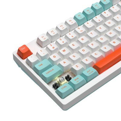 Клавиатура механическая A4tech Fstyler FS300 Panda Snorkeling <USB>