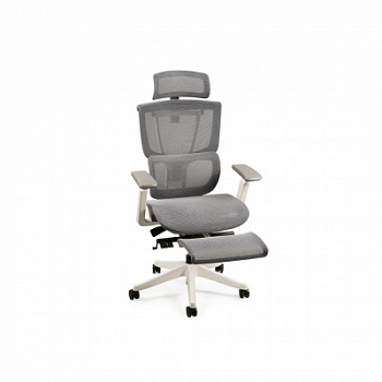 Эргономичное кресло FLEXISPOT C7WG-Mesh-FT W/G <Сетка, подлокотник 4D,газлифт 4, держатель для ног>