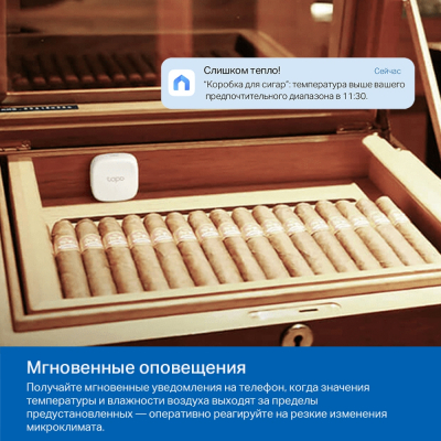 Умный датчик температуры и влажности Tapo T310